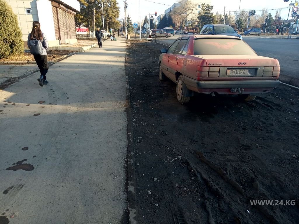 Чудаки парковки