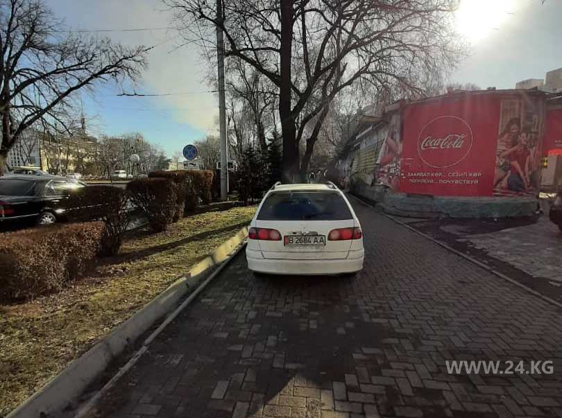 Чудаки парковки