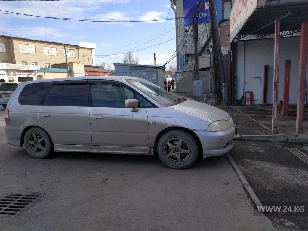 Чудаки парковки