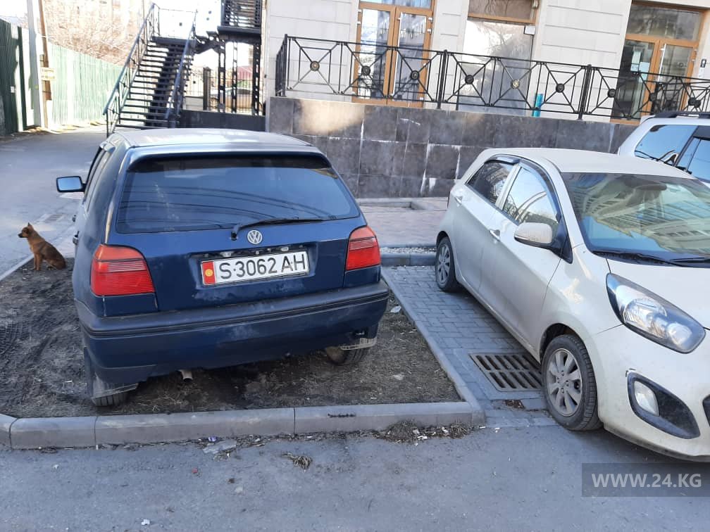Чудаки парковки