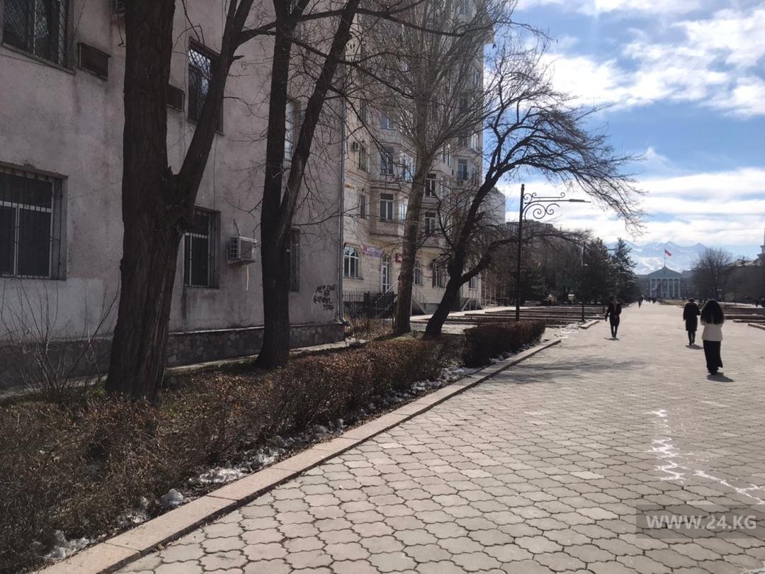 Реклама наркотиков