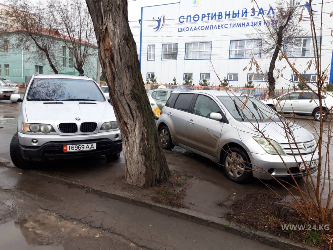 Чудаки парковки
