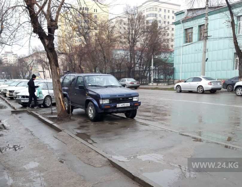 Чудаки парковки