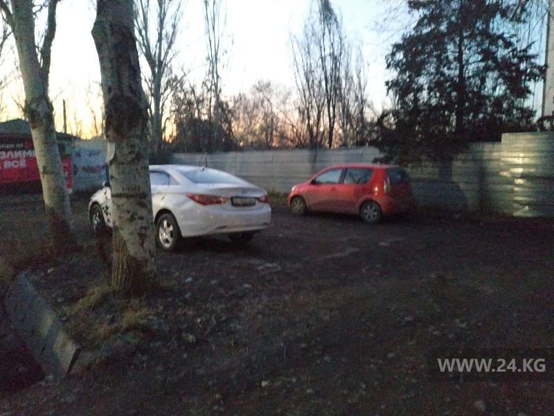 Чудаки парковки