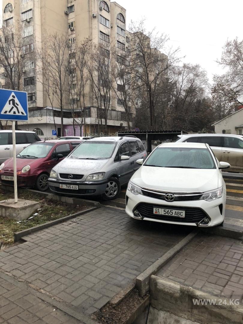 Чудаки парковки