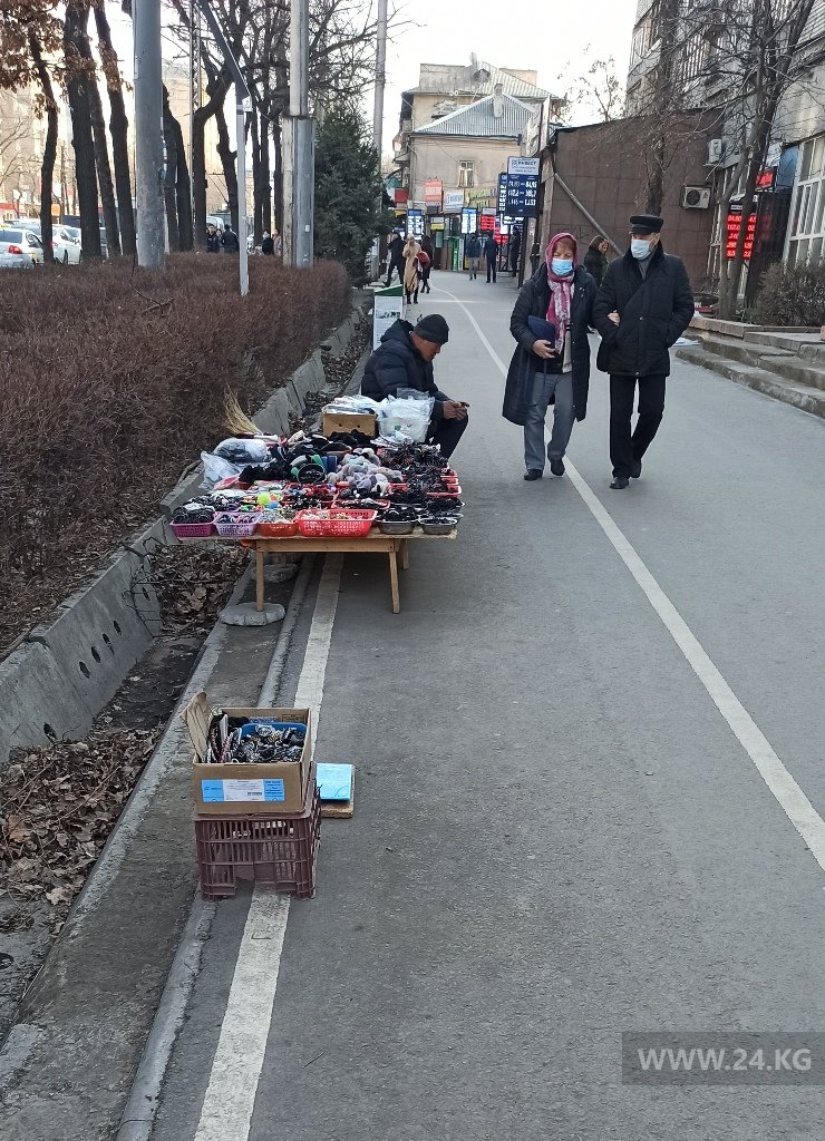 Велодорожка в Бишкеке