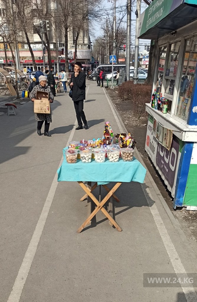 Велодорожка в Бишкеке