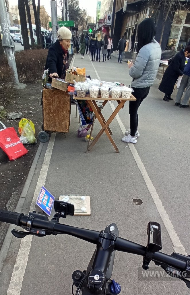 Велодорожка в Бишкеке