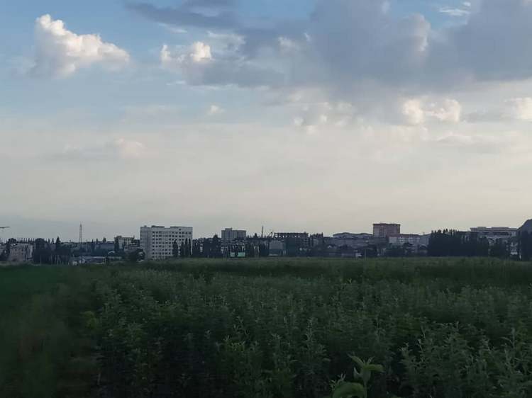 Ош, август 2020 года