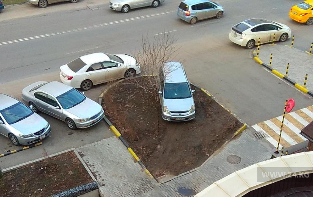 Чудаки парковки