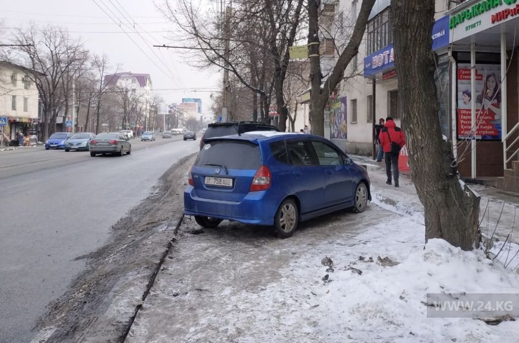 Чудаки парковки