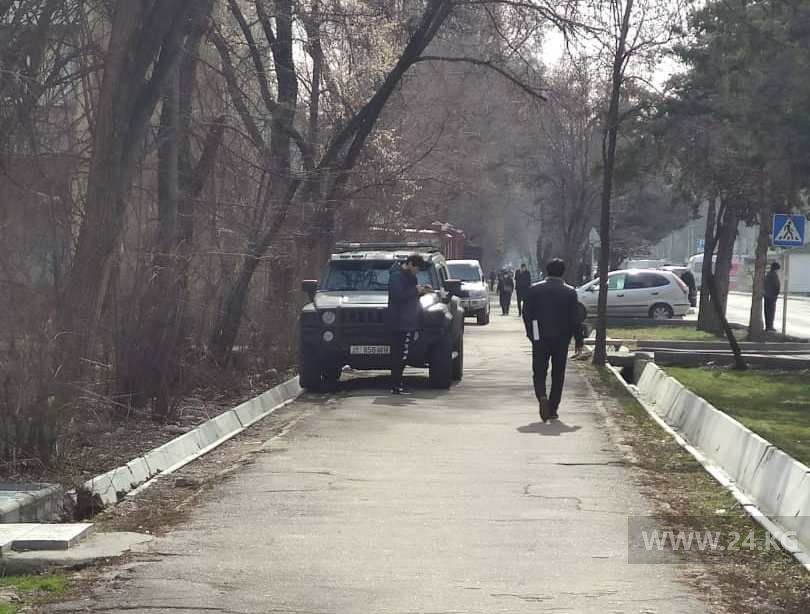 Чудаки парковки