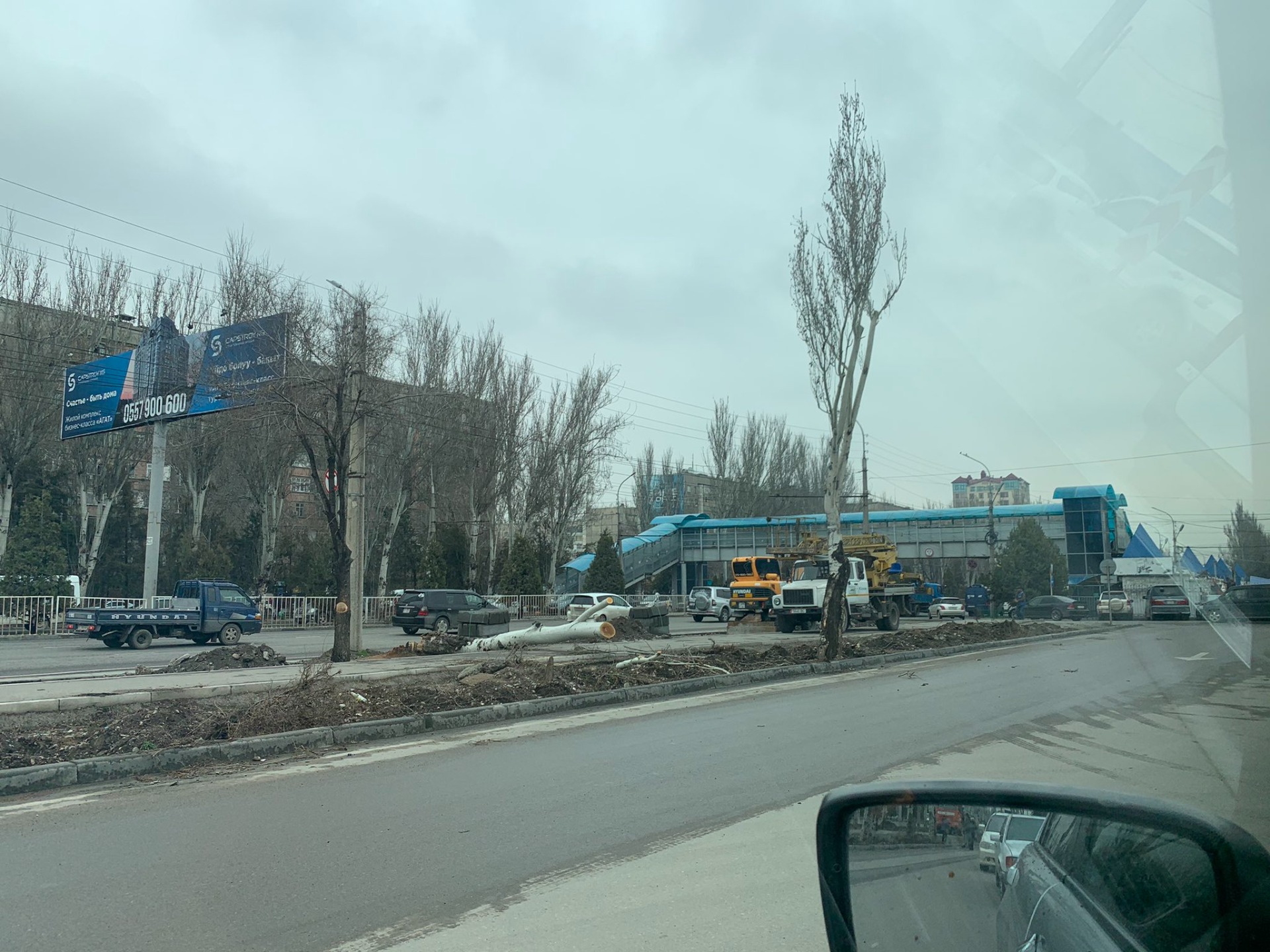 Возле рынка «Мадина» сносят тополя