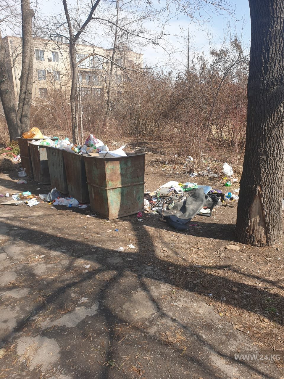 Мусор в парке