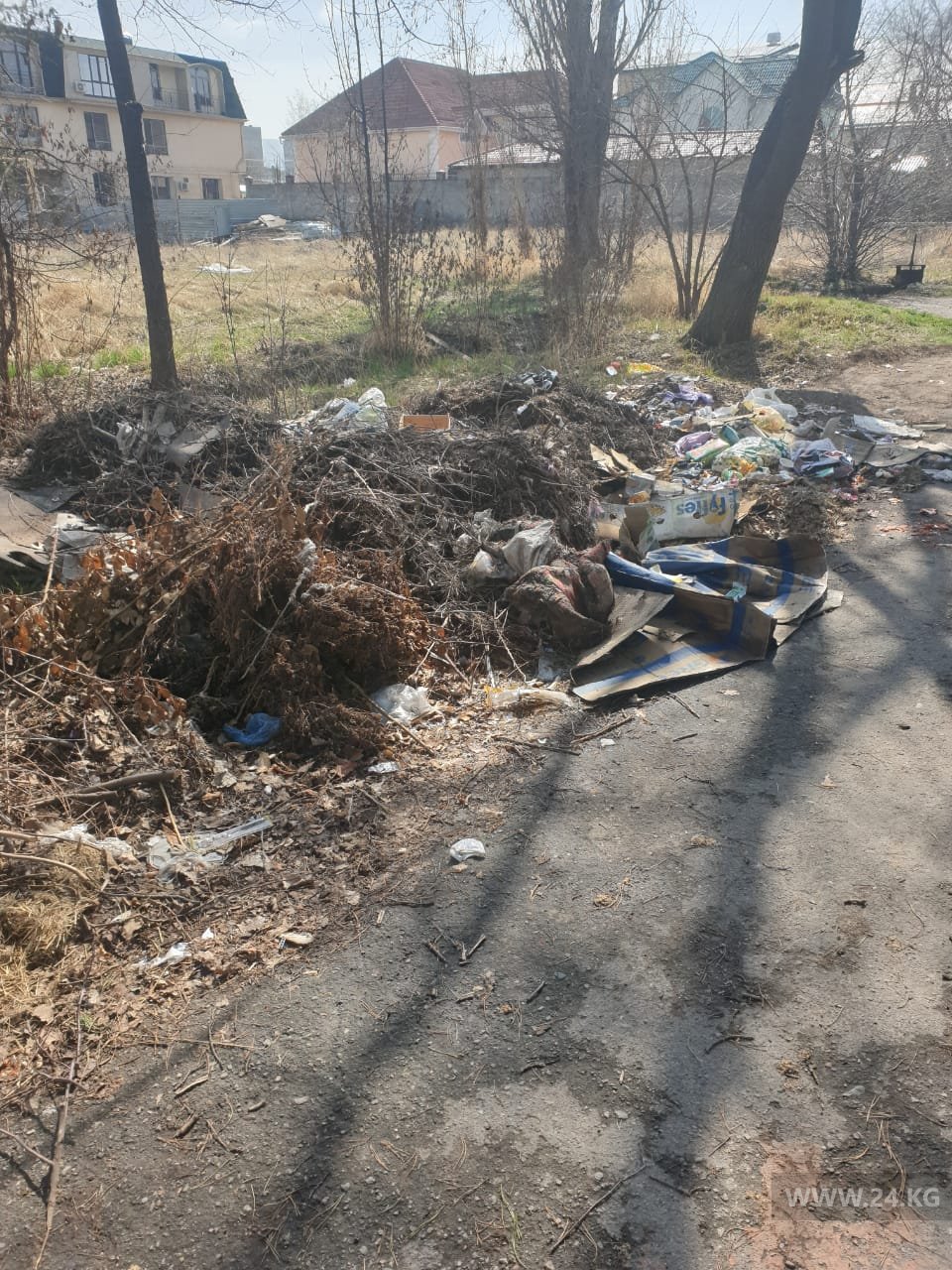 Мусор в парке