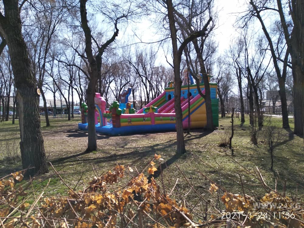 Батут в парке