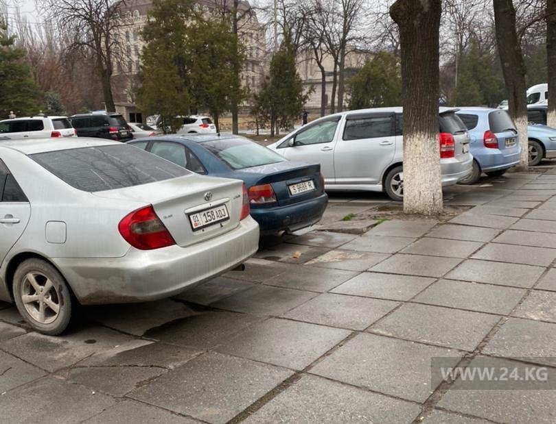 Чудаки парковки