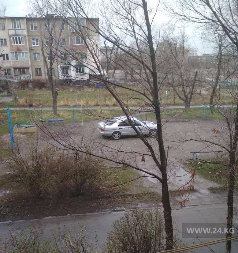Чудаки парковки