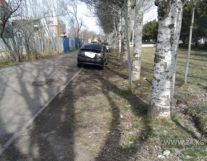 Чудаки парковки