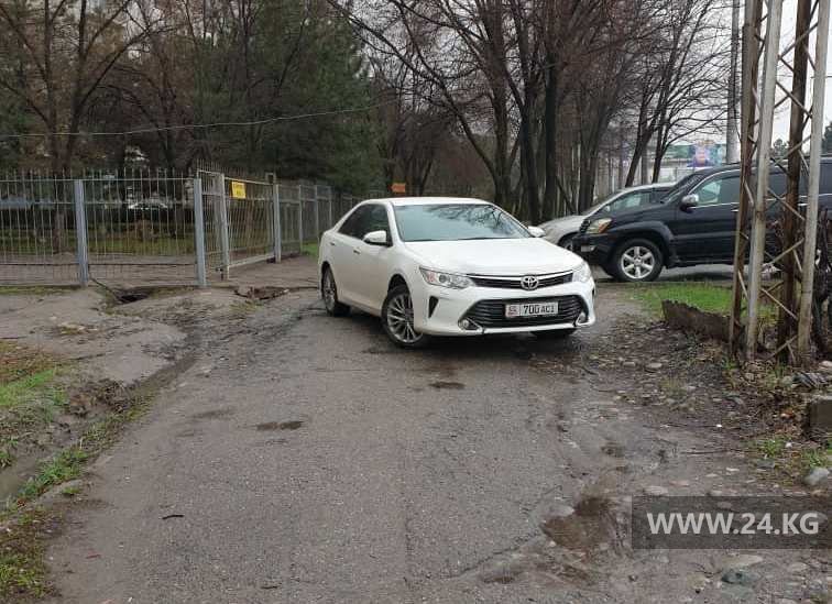 Чудаки парковки