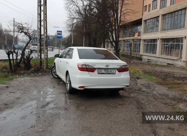 Чудаки парковки