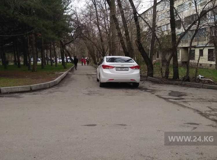 Чудаки парковки