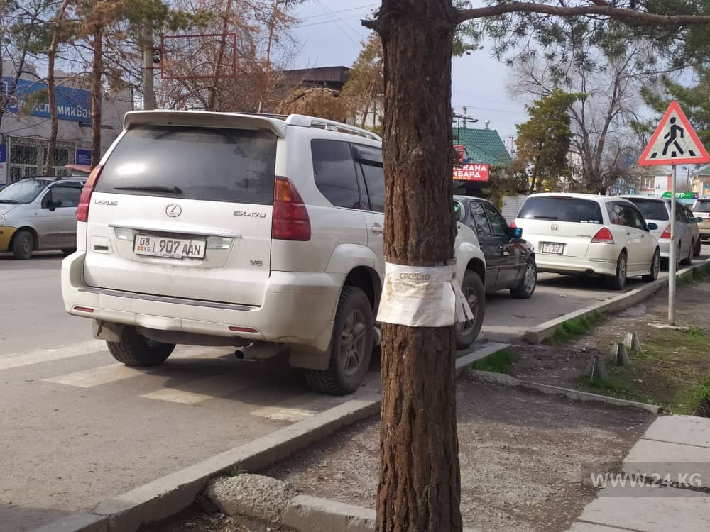 Чудаки парковки