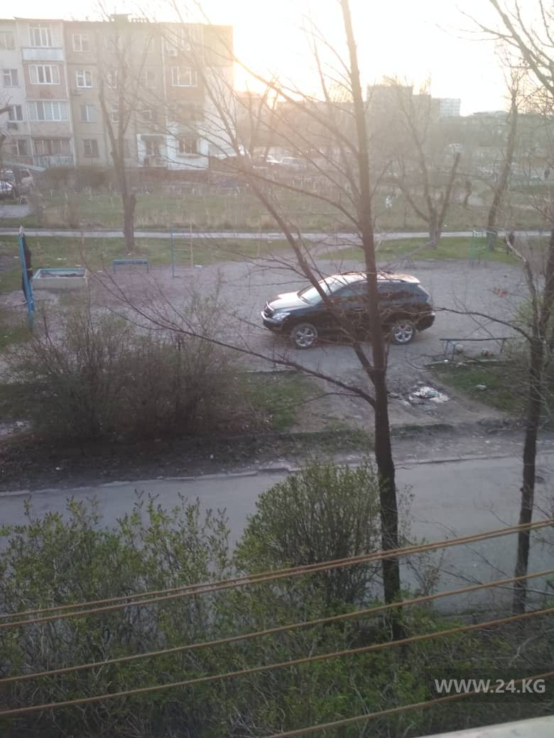 Чудаки парковки