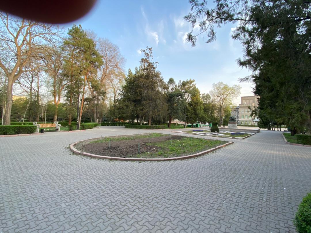 Бишкек остался без тюльпанов