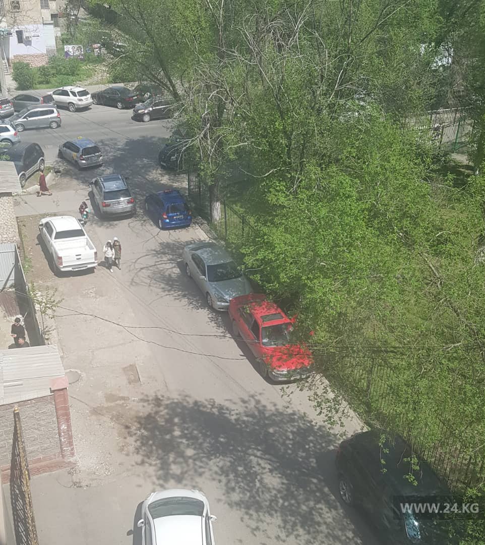 Улица Усенбаева