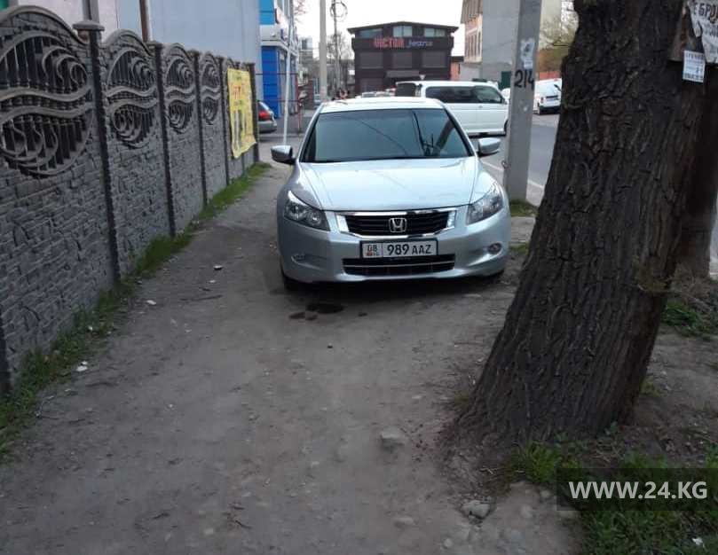 Чудаки парковки