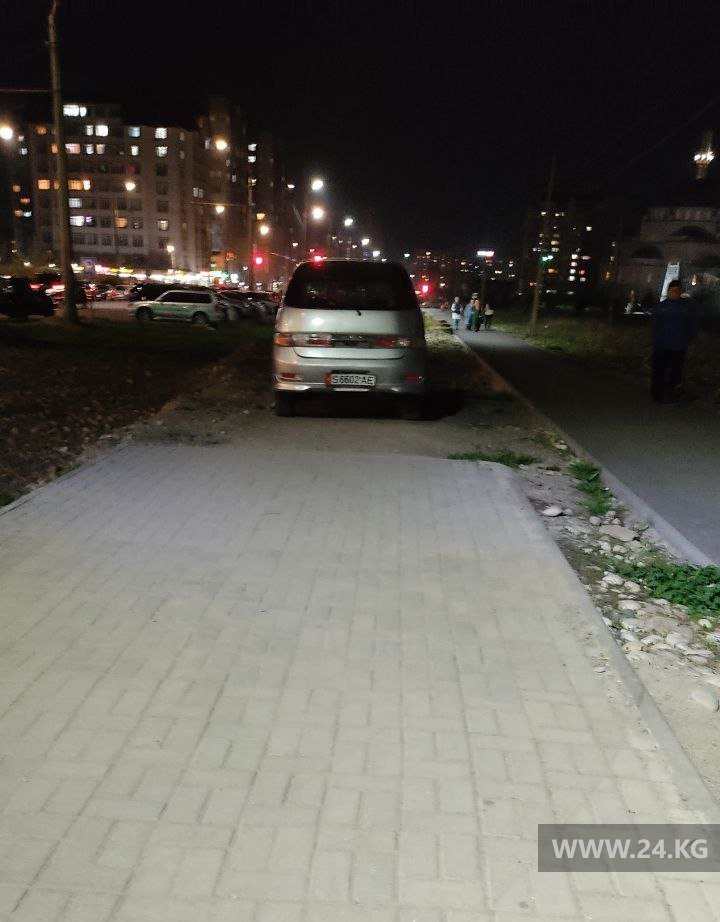 Чудаки парковки