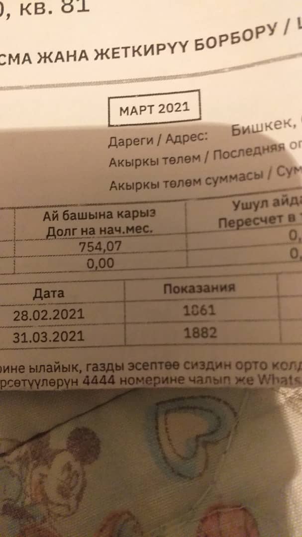 Жительнице Бишкека каждый месяц приходят большие счета за пользование газом