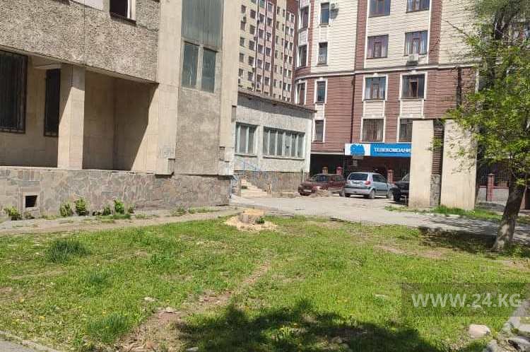 В Бишкеке спилили деревья