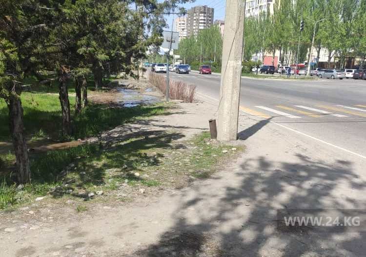 Разметка пешеходного перехода в Бишкеке