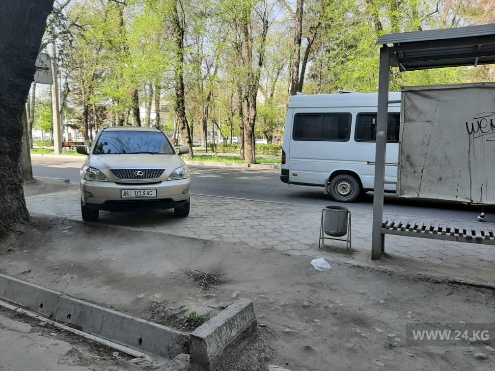 Чудаки парковки