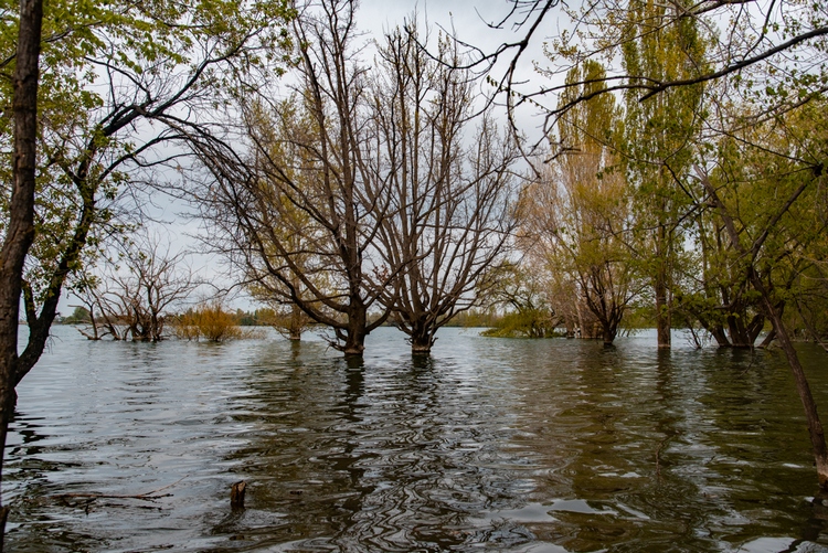 В окрестностях Ала-Арчинского водохранилища