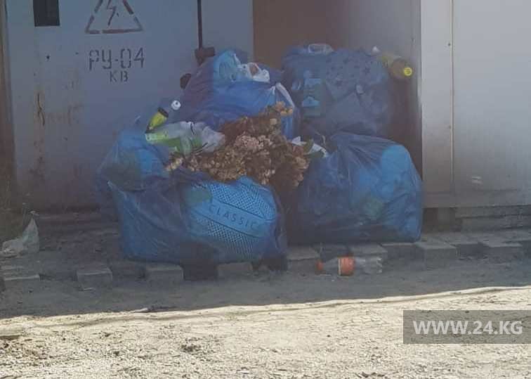 Мусор в жилмассиве «Арча-Бешик»