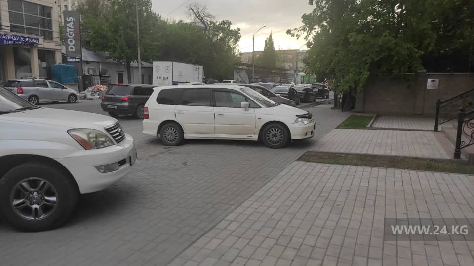 Чудаки парковки