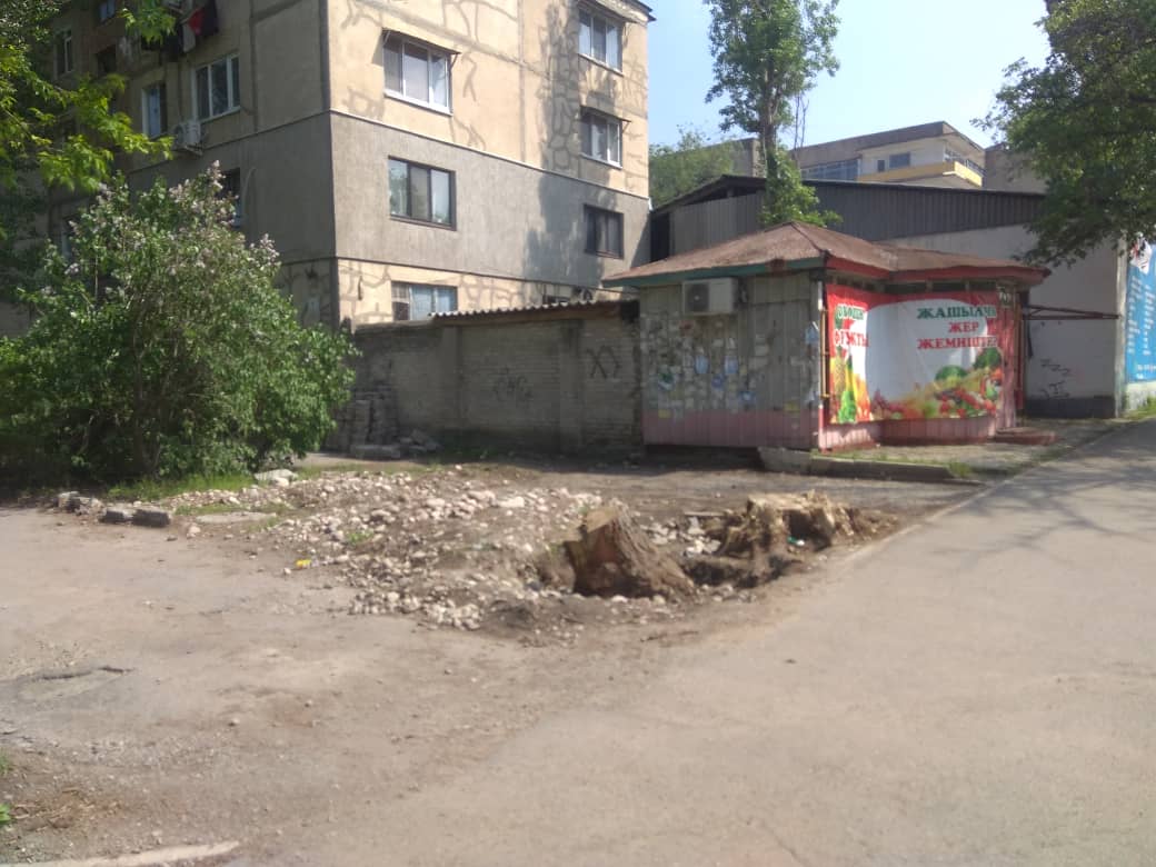 В 7-м микрорайоне Бишкека срубили деревья возле павильона