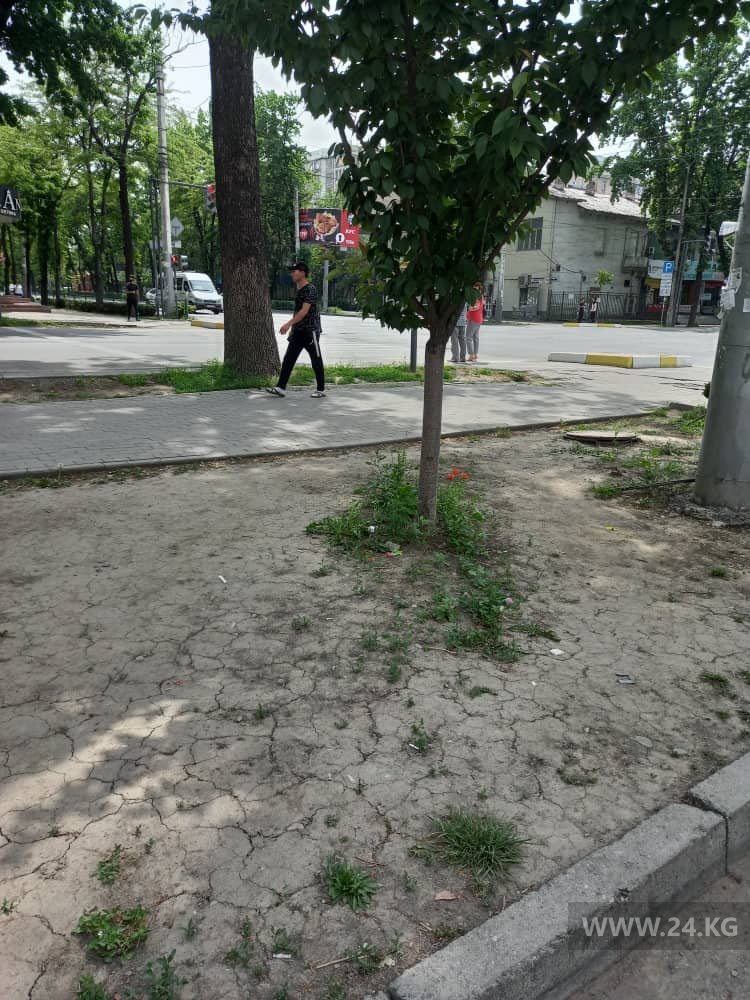 Сквер «Сказка»