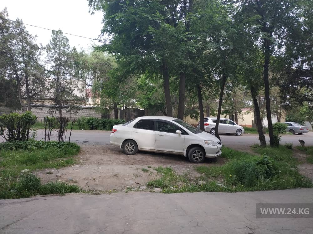 Чудаки парковки
