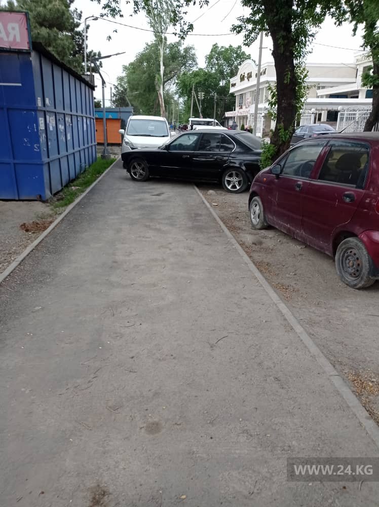 Чудаки парковки