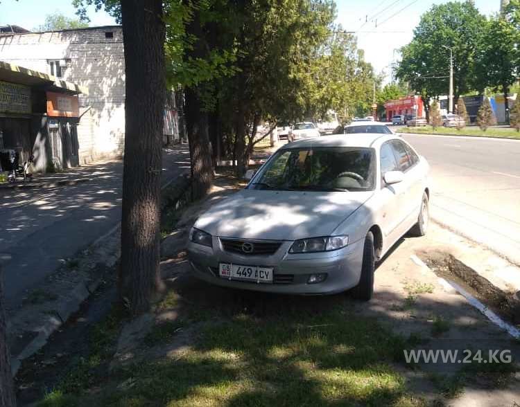 Чудаки парковки