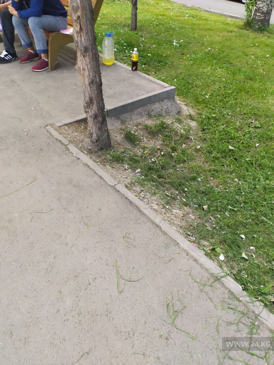 Сквер на улице 7 Апреля