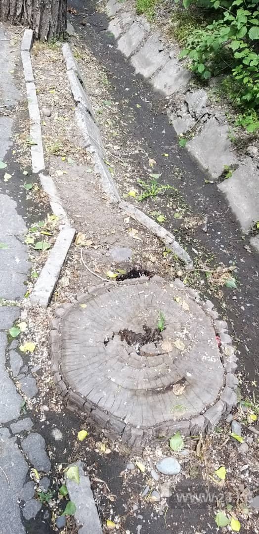 Тротуары в Бишкеке