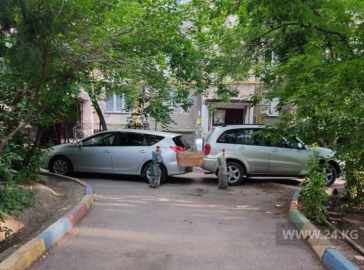 Чудаки парковки