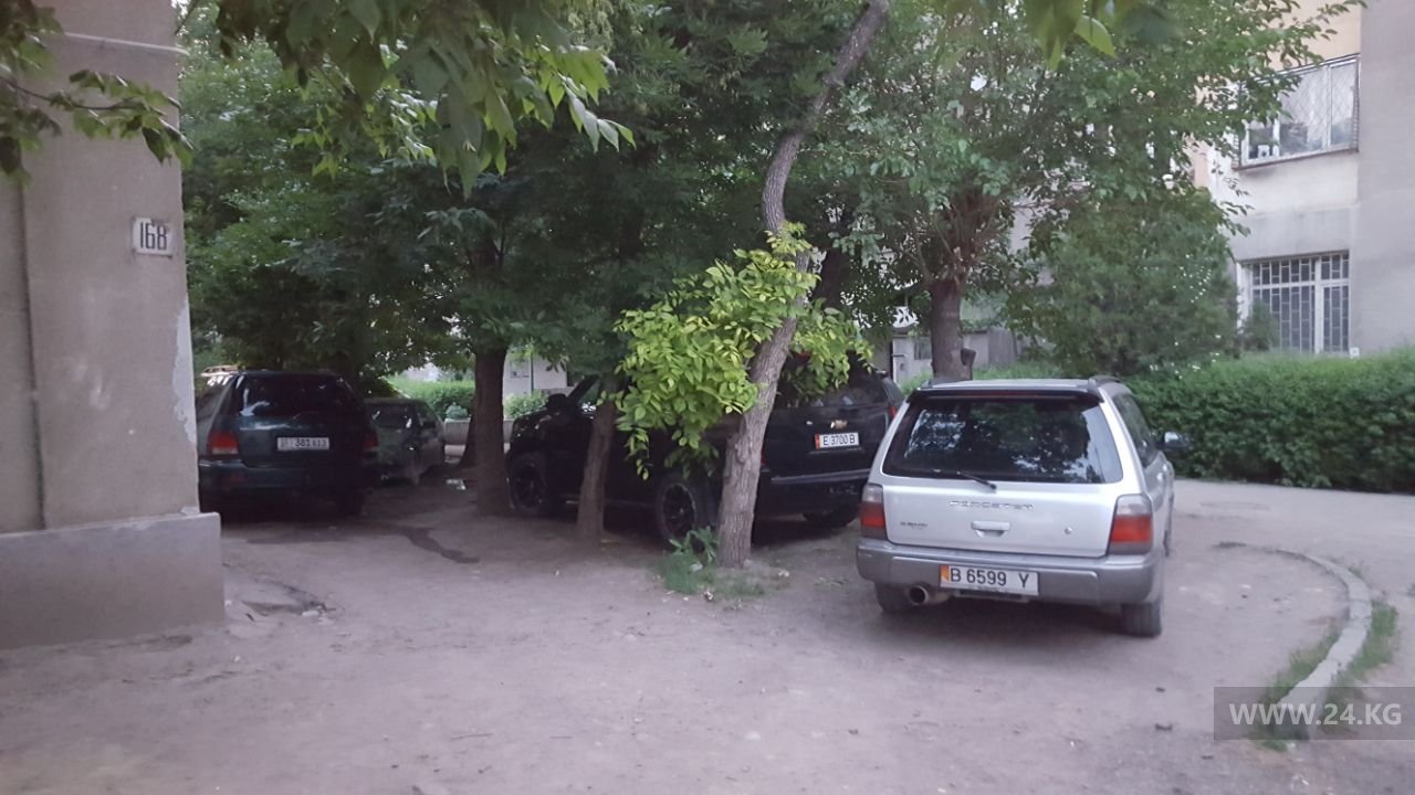 Чудаки парковки