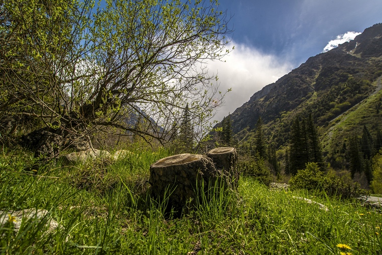 Ала-Арча