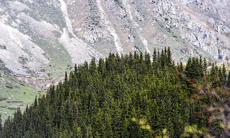 Ала-Арча